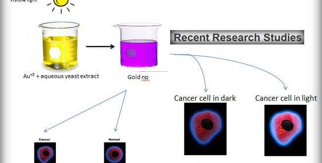 Yeast & Gold, Killed Cancerous Cells effectively