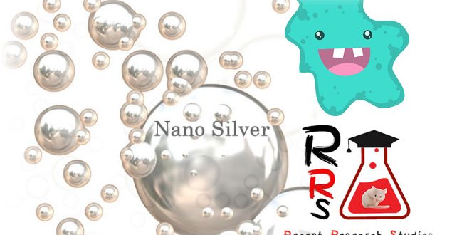 silver nanoparticles antimicrobial properties halt Brain-eating amoebae