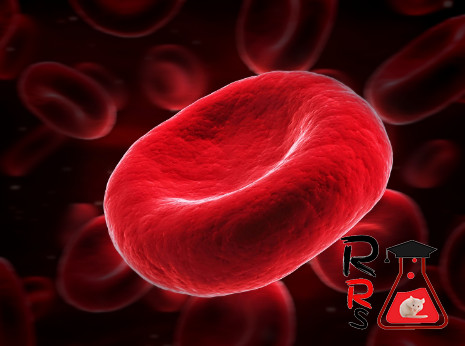 Diabetes Changes Red Blood Cells Morphology