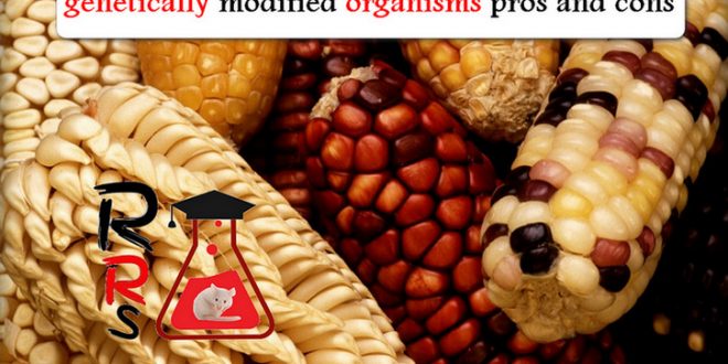 genetically modified organisms pros and cons