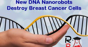 New DNA Nanorobots Destroy Breast Cancer Cells