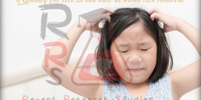 remedy for lice in the hair at home lice removal